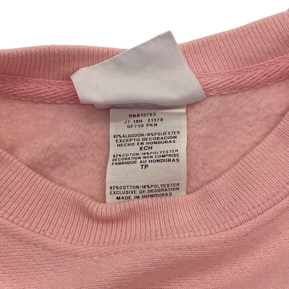 Champion Reverse Weave Sweatshirt Solid Pink Long Sleeve Crew Neck Size XS Retro - Picture 6 of 8